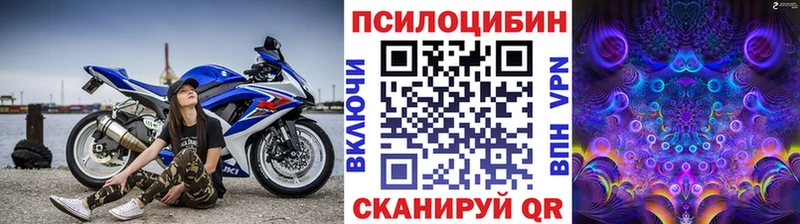 даркнет наркотические препараты Артёмовский Псилоцибиновые грибы мицелий
